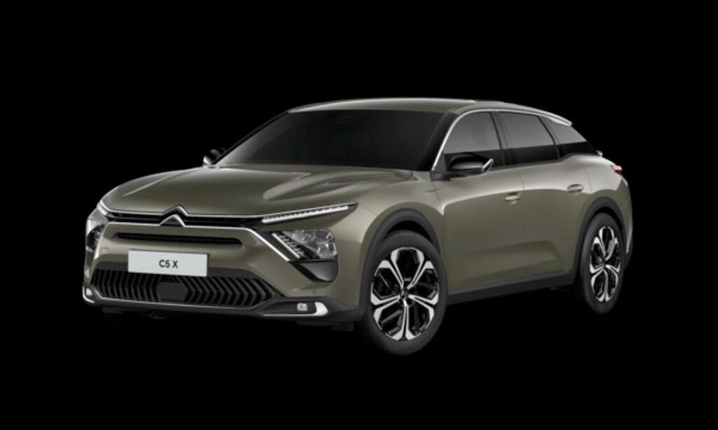 Citroën C5 X PureTech 96kW (130CV) S&S EAT8 Plus - Foto 482