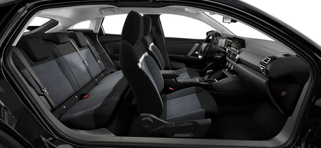 Citroën C4 PureTech 100 S&S 6v You - Foto 260