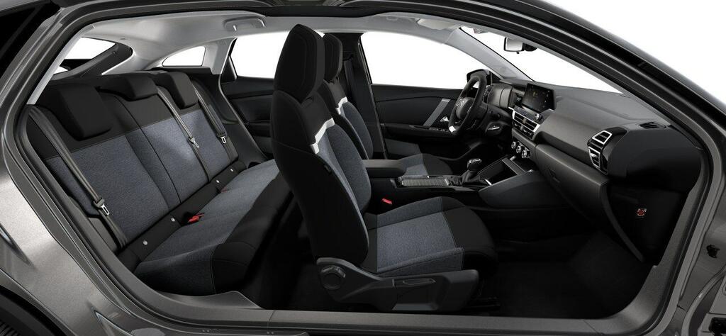 Citroën C4 PureTech 100 S&S 6v You - Foto 250