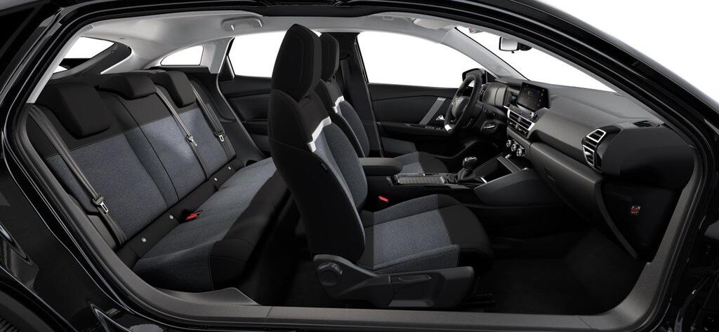 Citroën C4 PureTech 100 S&S 6v You - Foto 229