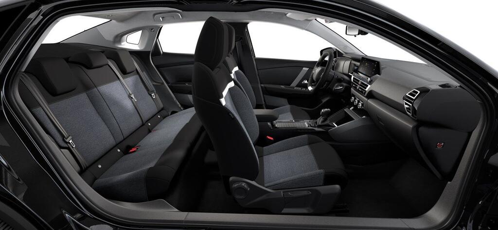 Citroën C4 X PureTech 100 S&S 6v You - Foto 255