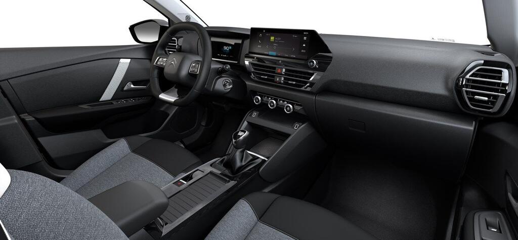 Citroën C4 X PureTech 100 S&S 6v You - Foto 253